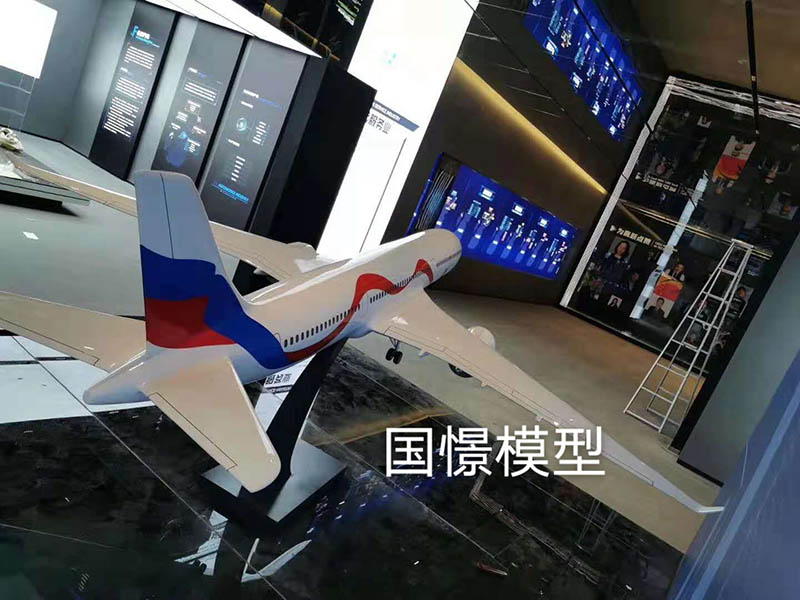 南靖县飞机模型