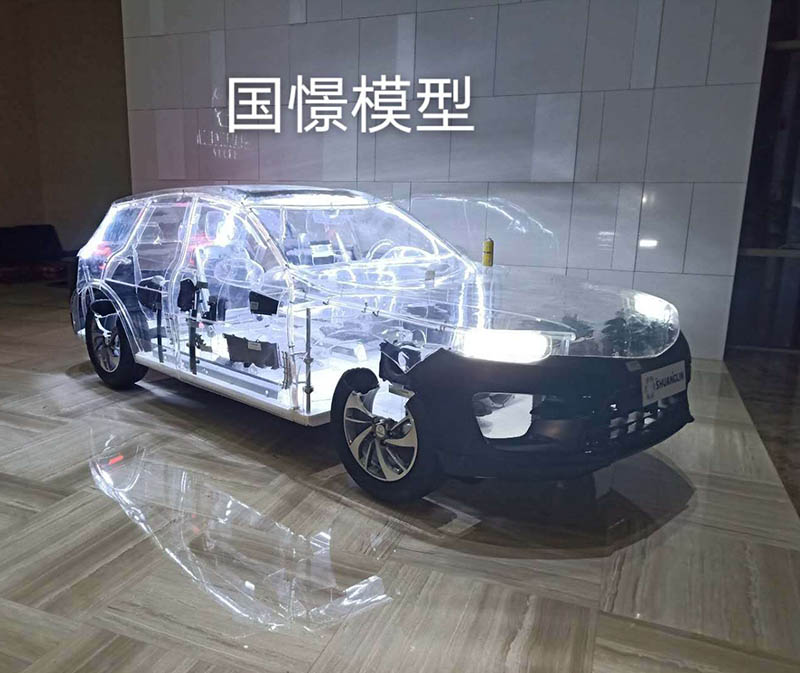 南靖县透明车模型